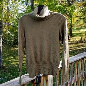Banana Republic Turtleneck Sweater